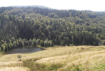 Randonnee Vosges chalet Forgoutte