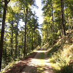 randonnee du Grouvelin - Gerardmer